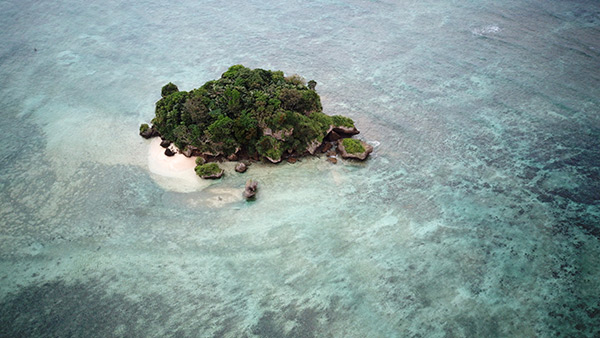 PacificWrecks.com