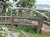 Click For Enlargement