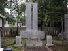 Click For Enlargement