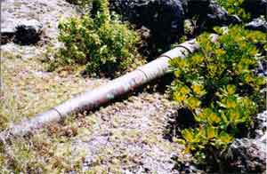 PacificWrecks.com
