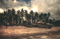 PacificWrecks.com