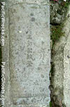 Click For Enlargement
