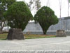 Click For Enlargement