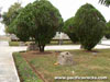 Click For Enlargement