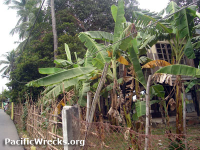 PacificWrecks.com