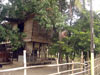 Click For Enlargement