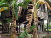 Click For Enlargement