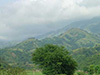Click For Enlargement