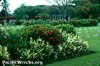 Click For Enlargement