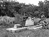 Click For Enlargement