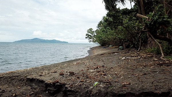 PacificWrecks.com