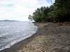 Click For Enlargement