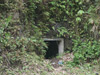 Click For Enlargement