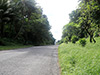 Click For Enlargement