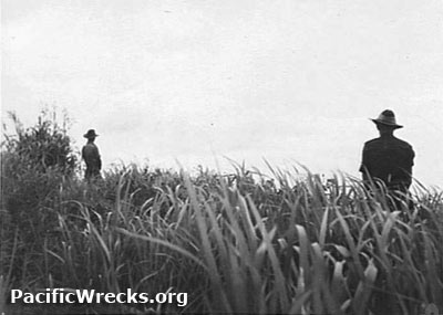 PacificWrecks.com