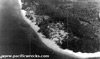 Click For Enlargement