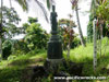 Click For Enlargement