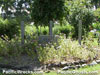 Click For Enlargement