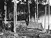 Click For Enlargement
