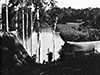Click For Enlargement