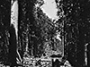 Click For Enlargement