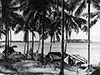 Click For Enlargement