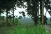 Click For Enlargement