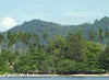 Click For Enlargement