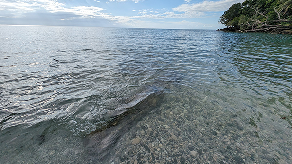 PacificWrecks.com