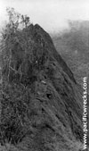 Click For Enlargement