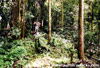 Click For Enlargement