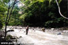 Click For Enlargement
