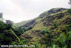 Click For Enlargement