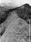 Click For Enlargement