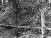 Click For Enlargement
