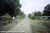 Click For Enlargement