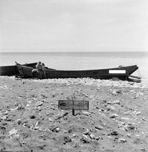 PacificWrecks.com