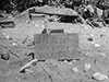 Click For Enlargement