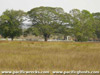Click For Enlargement