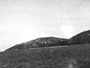 Click For Enlargement