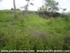 Click For Enlargement