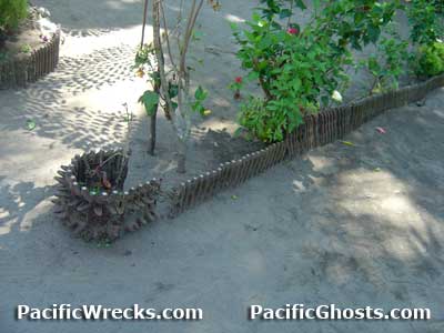 PacificWrecks.com