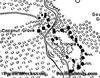 Click For Enlargement