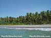 Click For Enlargement