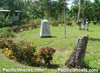Click For Enlargement