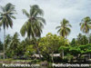 Click For Enlargement