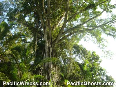 PacificWrecks.com