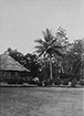Click For Enlargement