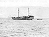 Click For Enlargement