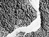Click For Enlargement